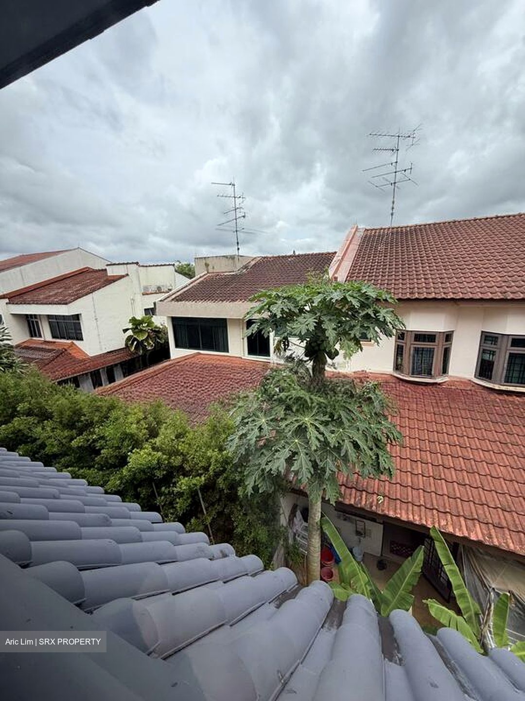 Villa Begonia (D28), Semi-Detached #518179761